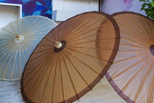 數(shù)字化升級，共創(chuàng)美好未來——紙世界網的紙制品銷售新篇章